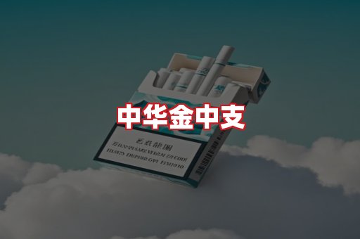 中华金中支